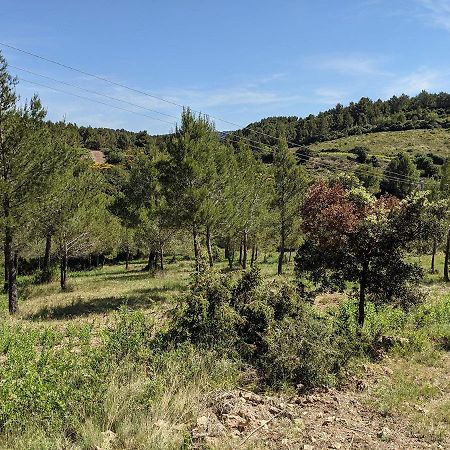 Bergerie Eco-Gite Serre Rouge Durban-Corbieres Luaran gambar
