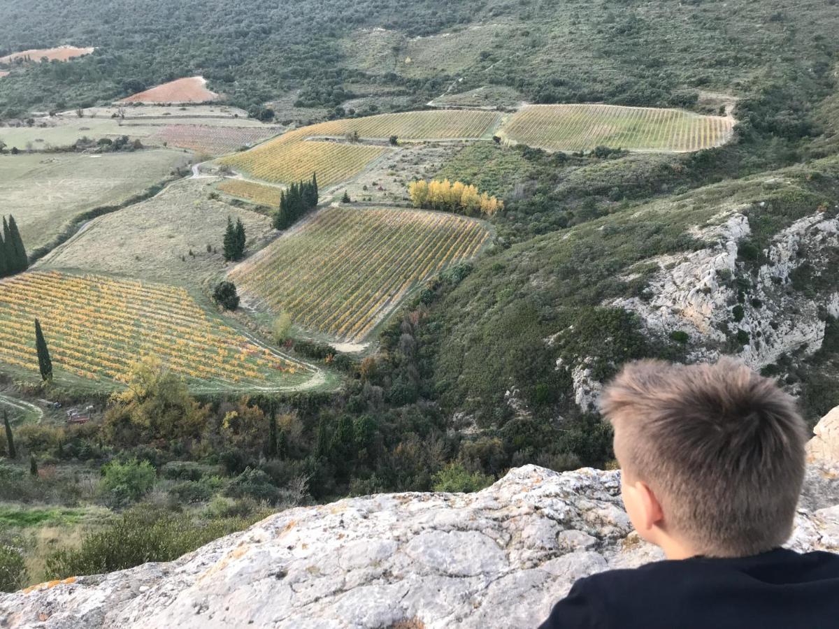Bergerie Eco-Gite Serre Rouge Durban-Corbieres Luaran gambar